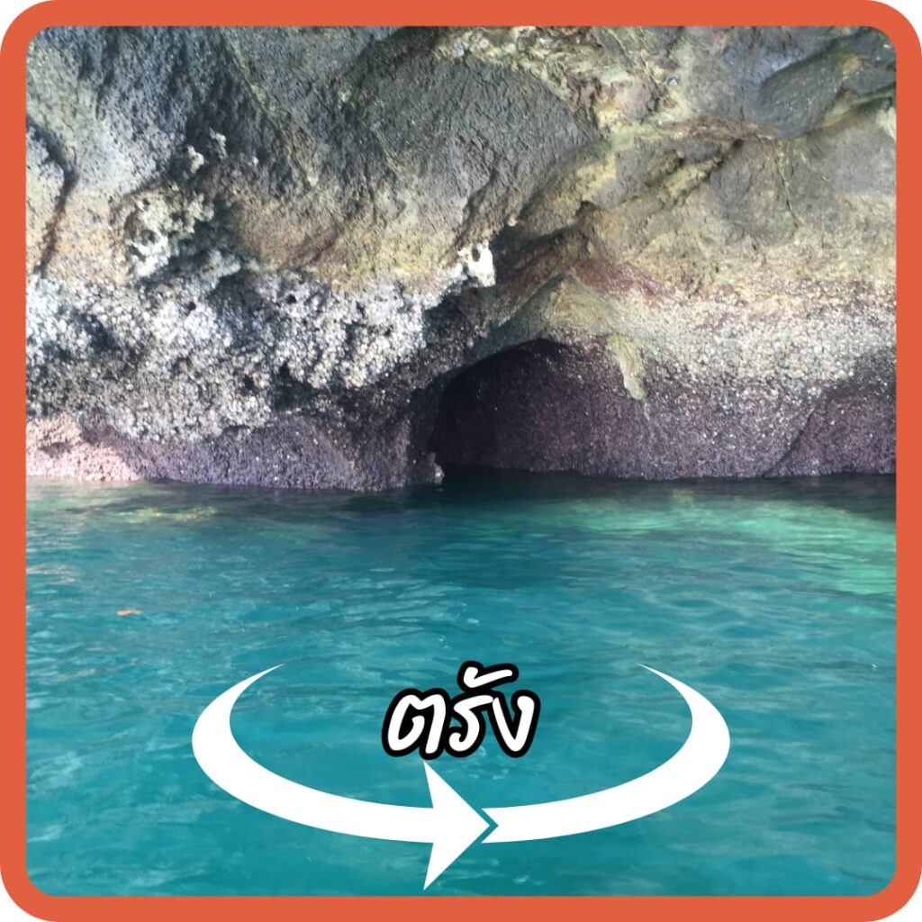 ตรัง